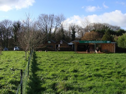 La Récréachien, Dresseur de Chiens à Lannion
