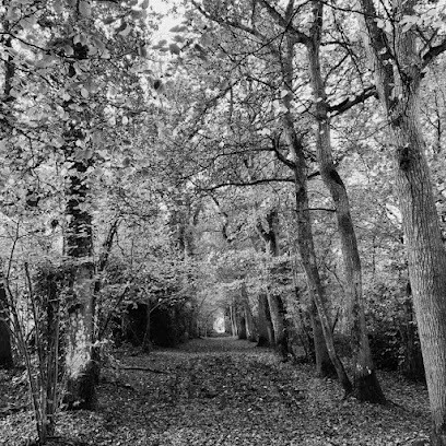 Pension Canine Des Portes, Pension pour Chiens à Andel