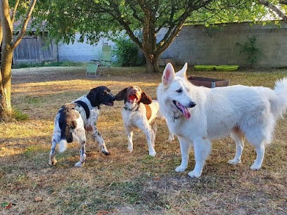 DOG CONNECT 68, Pension pour Chiens à Balschwiller
