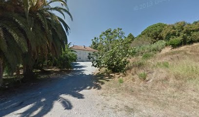 Élevage de la Rose Bleue, Eleveur de Chiens à Lucciana