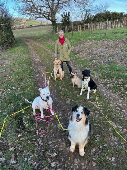 Team'animale, Dresseur De Chiens à Saint-Marcellin-en-Forez