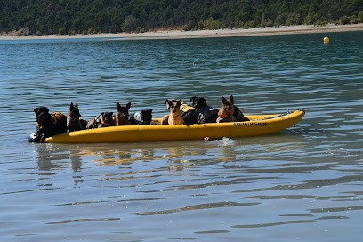 CSECSA, Dresseur de Chiens à Vinon-sur-Verdon