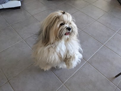 Des Terres De Bourguenailles, Eleveur de Chiens à Fontenay-le-Pesnel