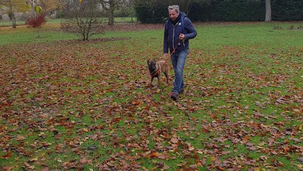 Jean-Michel GRUBER, Dresseur de Chiens à Rueil-Malmaison