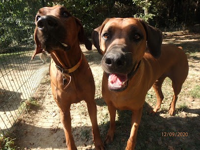 A.P.S Animaux Passions Services, Pension pour Chiens à Cranves-Sales