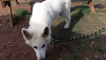 Cercle Canin Roquebrunois, Dresseur de Chiens à Roquebrune-sur-Argens