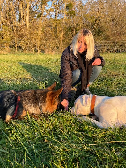 Aséduc & Co - Educateur Comportementaliste Canin, Dresseur de Chiens à Pulligny