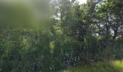 Le Bois De Pignes, Pension pour Chiens à La Ville-Dieu-du-Temple