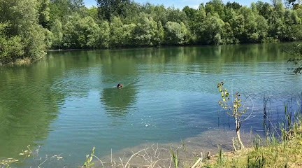 Elevage de la plaine des roches, Dresseur de Chiens à Nangis