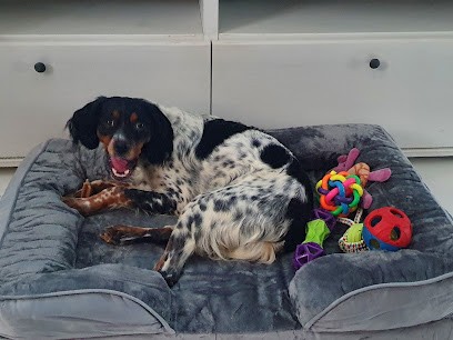 EURL DU DOMAINE DE L'AULNOY, Pension pour Chiens à Chambley-Bussières