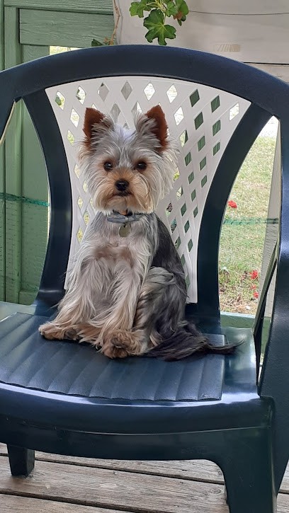 Élevage du paradis de l'isle, Eleveur de Chiens à Coursac