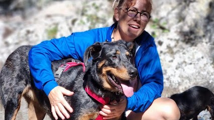 Corsica Dog Educ, Dresseur de Chiens à Prunelli-di-Casacconi