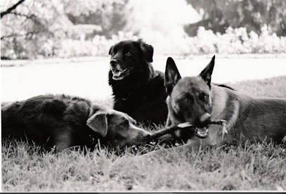 La Main à La Patte, Dresseur de Chiens à Thise