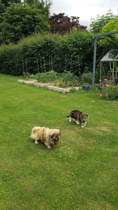 Coucouche Panier, Pension pour Chiens à Auneuil