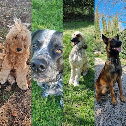 Armelle Pet Sitting Pension Canine Familiale Au Coeur De La Camargue, Pension pour Chiens à Arles