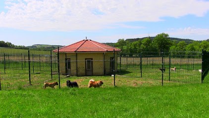 Pension du Menhir, Pension pour Chiens à Saint-Paulien