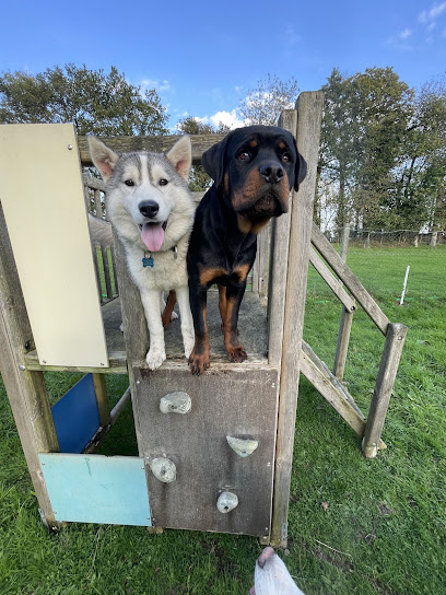 Les Instants D'anaïs, Pension Pour Chien à Combourg