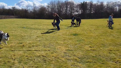 Trybalka (Éducation Et Loisirs Canins), Dresseur De Chiens à Fourchambault