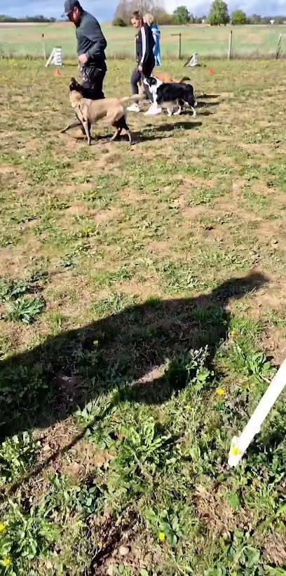 DOG'S SERVICES - éducateur canin, Dresseur de Chiens aux Aix-d'Angillon