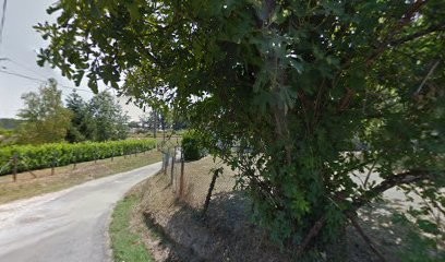 Le Mas Du Périgord Blanc : Elevage De Boxers, Eleveur de Chiens à Saint-Vincent-de-Connezac