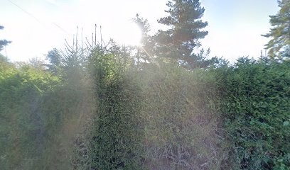 Faure Jean Marc, Pension pour Chiens à Mazet-Saint-Voy