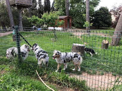 Animob'Isle - Mifsud Carole, Pension pour Chiens à L'Isle-sur-la-Sorgue