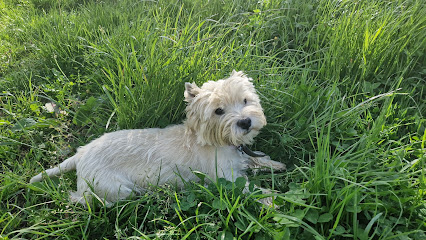 Pension Et Elevage Du Cœur De Belledonne, Pension Pour Chien à Pontcharra