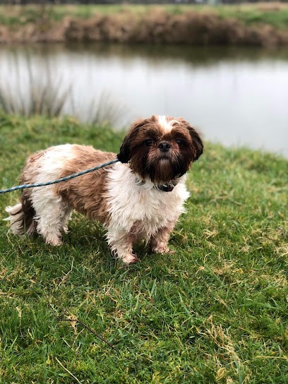 Pension Canine Dans L Orne, Pension pour Chiens à Bures