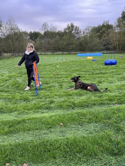 ChoubiDog45, Dresseur de Chiens à Lion-en-Sullias