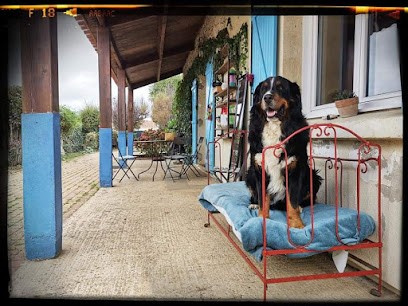 Au Doux Canin - Les Sables d'Olonne, Pension pour Chiens à L'Île-d'Olonne