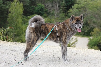 Cyno Wild Academy, Dresseur de Chiens à Lardy