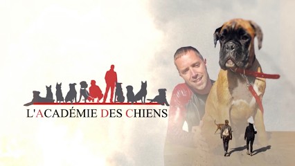 L’ACADÉMIE DES CHIENS - Éducateur comportementaliste canin., Dresseur de Chiens à Maisdon-sur-Sèvre