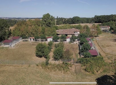 Pension Le Royaume des Licornes, Pension pour Chiens à Saint-Cirq