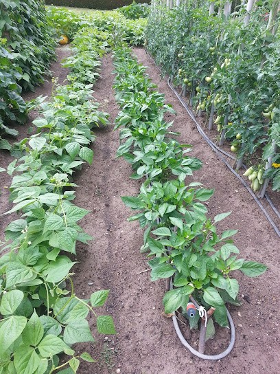 Dogservices, Pension pour Chiens à Bouilly