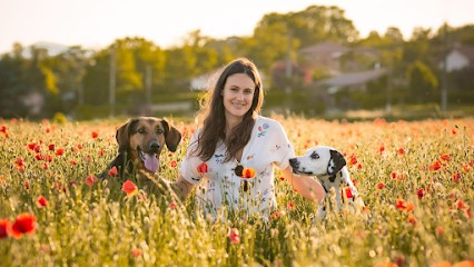 Truffes, Moustaches & Compagnie, Pension pour Chiens à Préaux