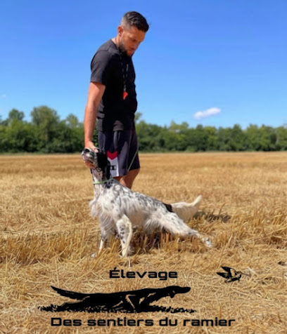 Élevage Setter Anglais Des Sentiers Du Ramier Chien De Chasse Montauban, Éleveur De Chiens à Montauban