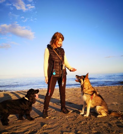 Educateur Canin Corse Comportementaliste, Dresseur de Chiens à Lucciana
