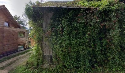 Madamez Habille Son Chien, Eleveur de Chiens à Novalaise