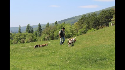 GROCQ JEAN MICHEL Domaine de la Chênairée, Eleveur de Chiens à Dieulefit