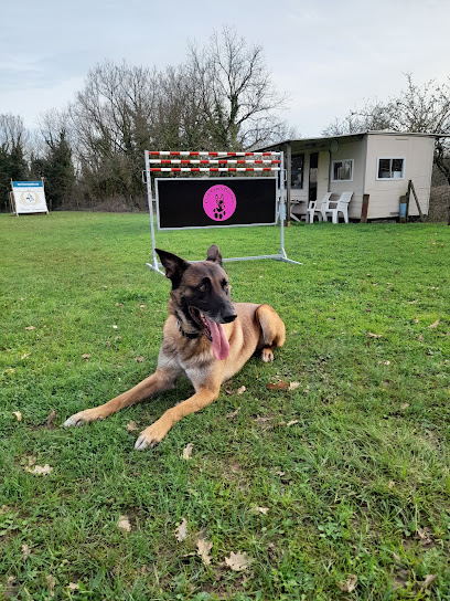 Club Canin Pontois Dresseur De Chiens à Pons