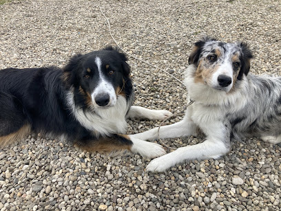 Émilie Éducation, Dresseur De Chiens à Bragny-sur-Saône