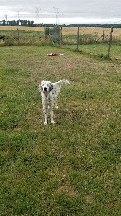 Vitacanin, Pension pour Chiens à La Feuillie