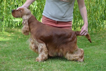 Elevage Du Bois D'Achelles, Eleveur de Chiens à Quesnoy-sur-Deûle