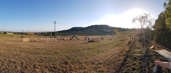 Agility Club Annonay, Dresseur de Chiens à Peaugres