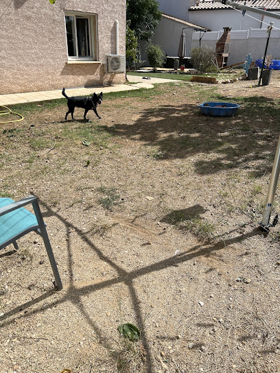A La Coloc Des Toutous Pension Pour Chien, Pension Pour Chien à Villeneuve-lès-Maguelone