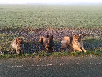 CANI-LOGIC, Pension pour Chiens à Fromelles
