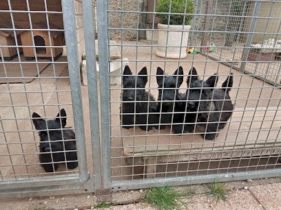 O'Connor Ruth, Eleveur de Chiens à Béville-le-Comte