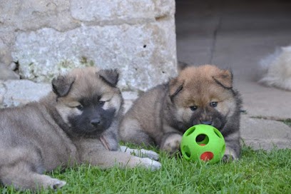 Elevage Des Champs de L Aisne, Eleveur de Chiens à Ciry-Salsogne