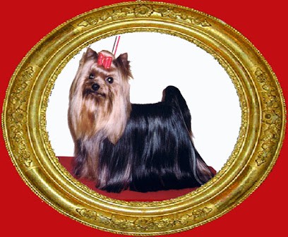 éleveur Chihuahua, éleveur Yorkshire Terrier : Le Clos Des Bleuettes, Eleveur de Chiens à Courtenay