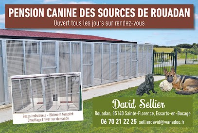 Pension canine des Sources de Rouadan, Pension pour Chiens à Essarts en Bocage